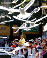 Estudiar idioma chino en China